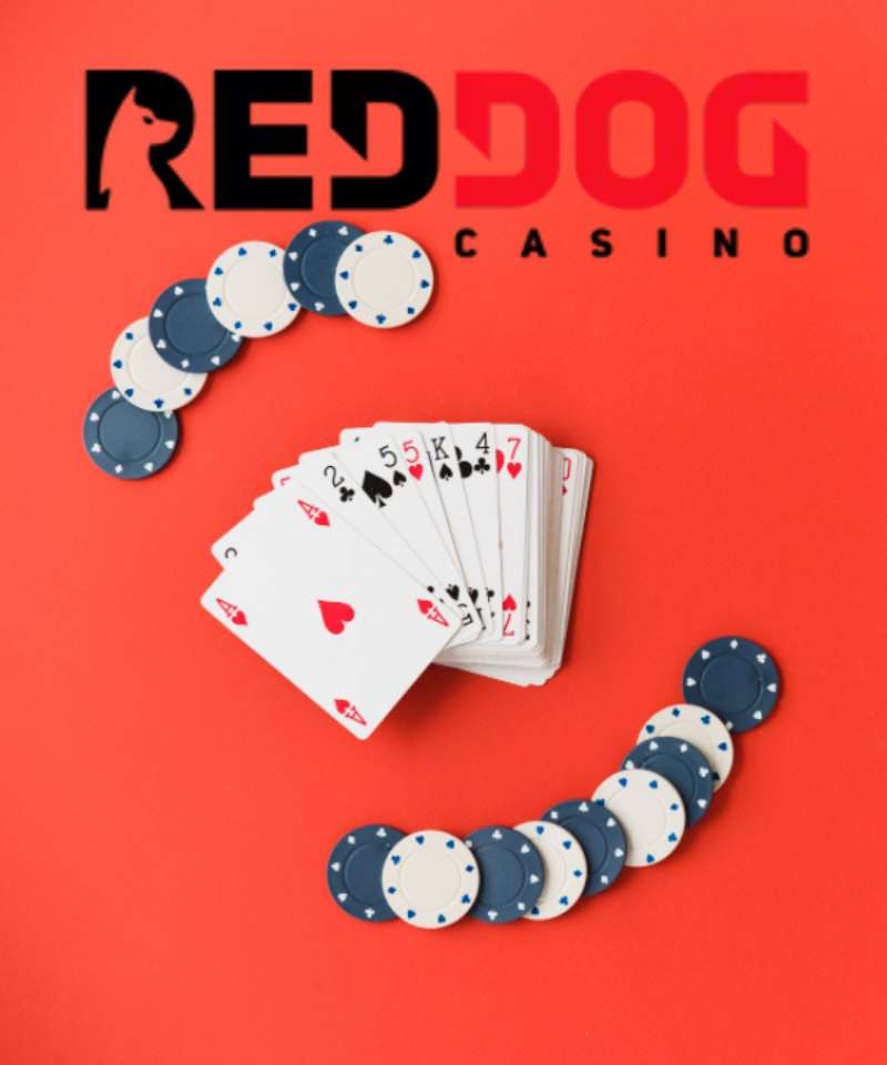 Best Red Dog Casino Bonus Codes 2