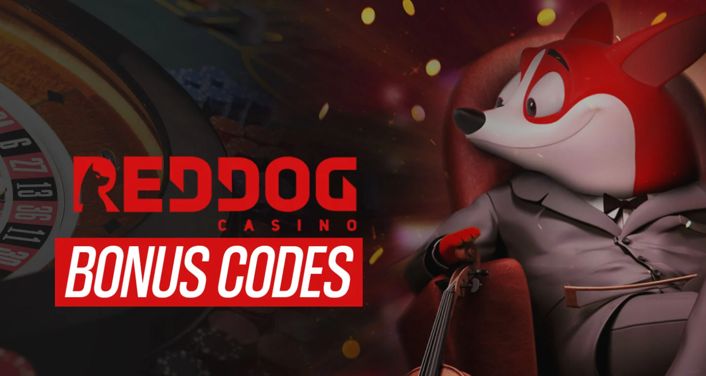 Bonus Terms & Conditions From Red Dog
